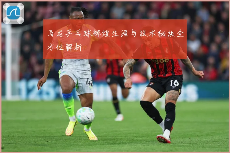 马龙乒乓球辉煌生涯与技术秘诀全方位解析