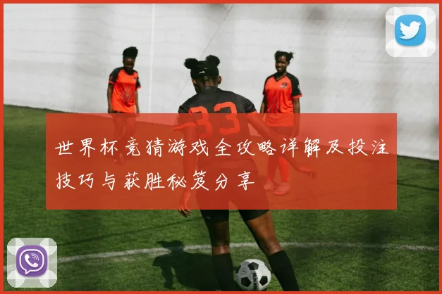 世界杯竞猜游戏全攻略详解及投注技巧与获胜秘笈分享