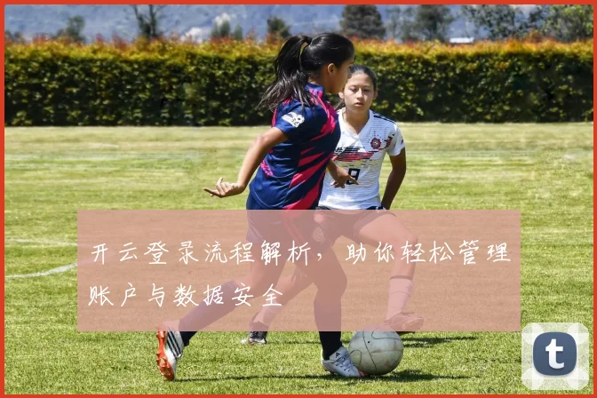 开云登录流程解析，助你轻松管理账户与数据安全