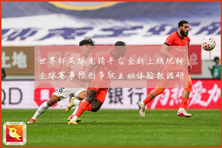 世界杯足球竞猜平台全新上线玩转全球赛事预测争取互动体验数据研判