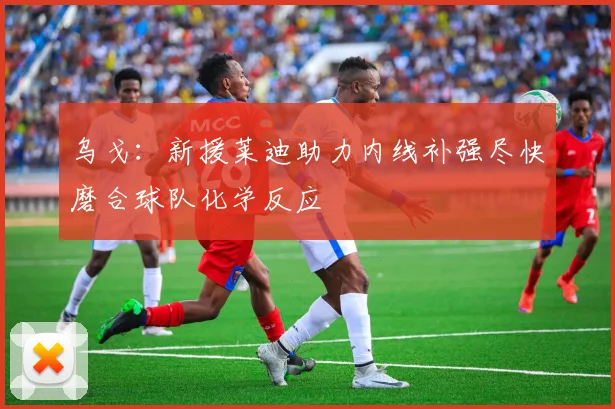 乌戈：新援莱迪助力内线补强尽快磨合球队化学反应
