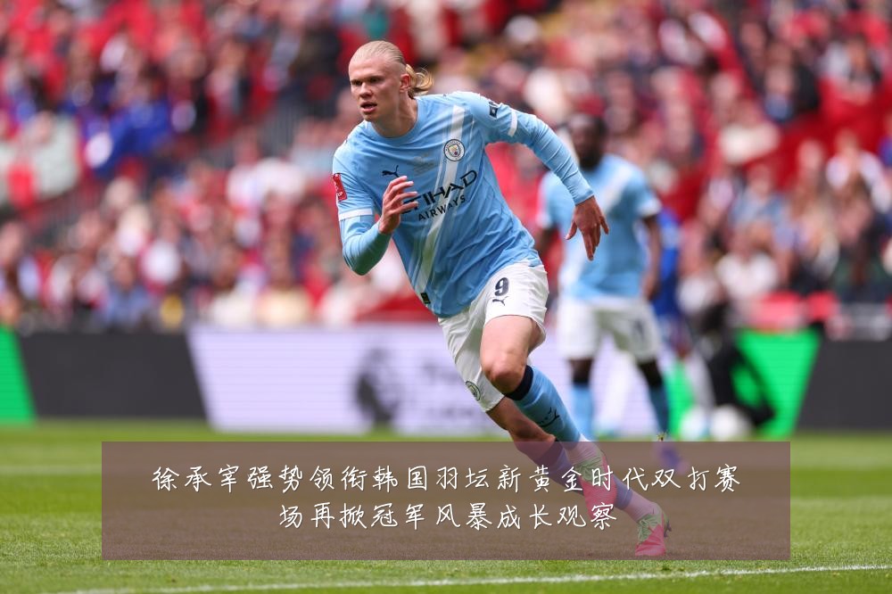 徐承宰强势领衔韩国羽坛新黄金时代双打赛场再掀冠军风暴成长观察