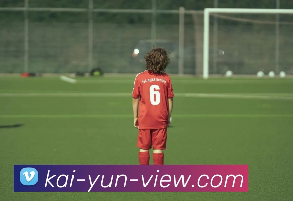 开云平台展示图