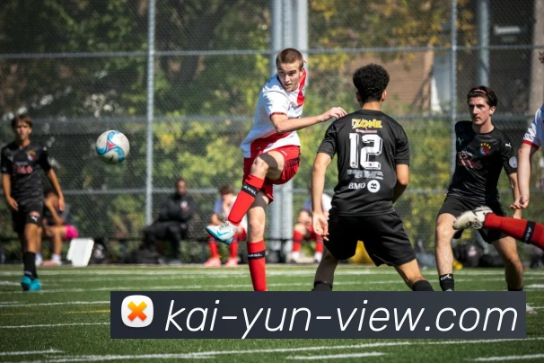 开云登录流程解析，助你轻松管理账户与数据安全